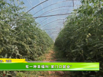 有一种幸福叫“家门口就业”