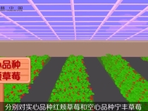 【渭南科普】科普中国——很多草莓长得怪怪的 吃这样的草莓安全吗？
