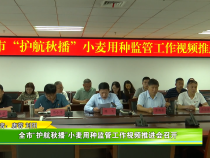 全市“护航秋播”小麦用种监管工作视频推进会召开