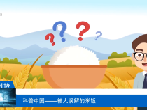 【渭南科普】科普中国——被人误解的米饭
