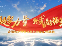 【凝聚力量  赋能振兴】合阳县乡村振兴驻村帮扶工作纪实