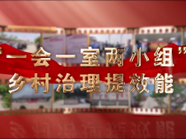 蒲城县荆姚镇：“一会一室两小组” 乡村治理提效能