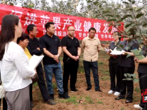 合陽:“蘋果法庭”守護(hù)群眾“致富果”