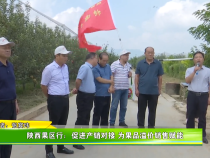 陕西果区行：促进产销对接 为果品溢价销售赋能