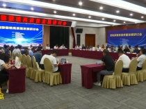 渭南猕猴桃高质量发展研讨会在临渭区召开