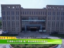 【蒲城酥梨 多汁多润】打造核心示范园 推广新品种新技术新模式
