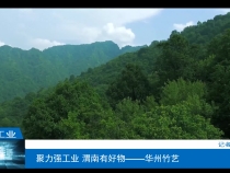 【渭南工信】聚力强工业 渭南有好物——华州竹艺