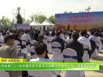 我市庆祝2023年中国农民丰收节活动暨合阳县第七届红提葡萄节举行