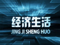 1011经济生活
