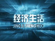 1013经济生活