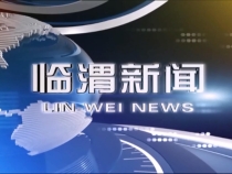 10月14日临渭新闻