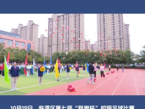 临渭区第七届“联盟杯”校园足球比赛（小学联赛）开幕