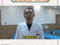 聚焦第六屆中醫藥文化大會 杏林講壇（二十）頸椎曲度變直如何矯正