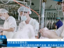 【渭南工信】陕西富强宏图牧业：全力打造特色肉鸭产业链  助力食品工业发展