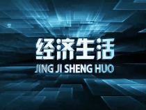 1101经济生活