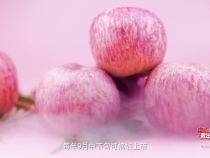 中国式现代化·青年的回答｜“太空苹果”到底牛在哪里？