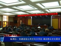 临渭区：创建省级公共文化示范区 满足群众文化需求