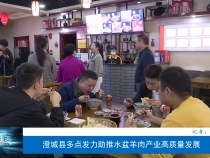 澄城县多点发力助推水盆羊肉产业高质量发展