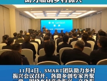 各路专家齐聚一堂 助力临渭乡村振兴