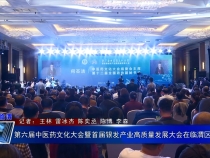 第六届中医药文化大会暨首届银发产业高质量发展大会在临渭区开幕