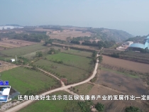 临渭区：精准“把脉”科学“布局”  中医药产业发展步子稳