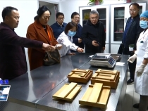 第六届中医药文化大会与会代表参观考察渭南美好生活示范区