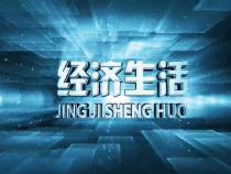 1106经济生活