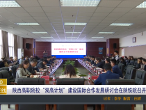 【渭南教育】陕西高职院校“双高计划”建设国际合作发展研讨会在陕铁院召开