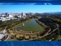 南湖公园：立冬游园景如画