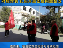 《创建进行时》临渭区双王街道：对标对表 扎实开展创建问题整改
