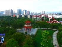临渭区：聚焦问题抓整改  推动创建提质效