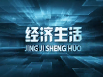 1110经济生活
