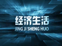 1113经济生活