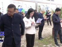 临渭区：以观摩促提升  全面推进人居环境整治工作