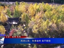 南湖公园：秋意盎然 美不胜收