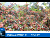 【渭南工信】聚力强工业 渭南有好物——韩城北京鸭