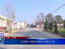 王琦深入包联村调研乡村振兴工作