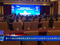 第十六届全国葡萄病虫害防治技术与经验研讨会在临渭区召开