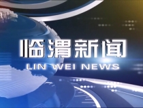 11月20日临渭新闻
