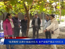 “临渭葡萄”品牌价值超25亿元 全产业链产值达105亿元