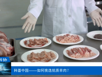 【渭南科普】科普中国——如何挑选优质羊肉？