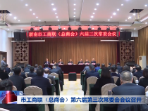 市工商联（总商会）第六届第三次常委会会议召开