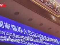 时政快讯丨习近平将出席金砖国家领导人巴以问题特别视频峰会