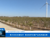 【渭南科技】陕西金桥现代农业产业园区：聚力攻克关键技术  推动软籽石榴产业高质量发展