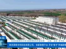 【渭南科技】科技创新孵化引领 助推渭南高质量发展 陕西慕斯奈特科技有限公司：创新智慧平台 开创“数字”养殖新模式