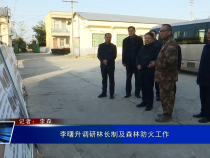 李曙升调研林长制及森林防火工作