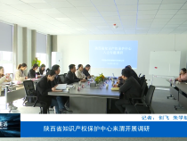 陕西省知识产权保护中心来渭开展调研