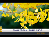 【渭南教育】蒲城县第三高级中学：银杏黄时  轻舞飞扬