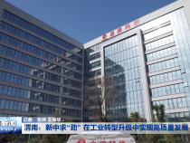 渭南：新中求“劲” 在工业转型升级中实现高质量发展