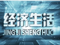 1129经济生活